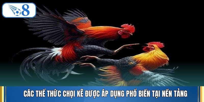 Các thể thức chọi kê được áp dụng phổ biến tại nền tảng