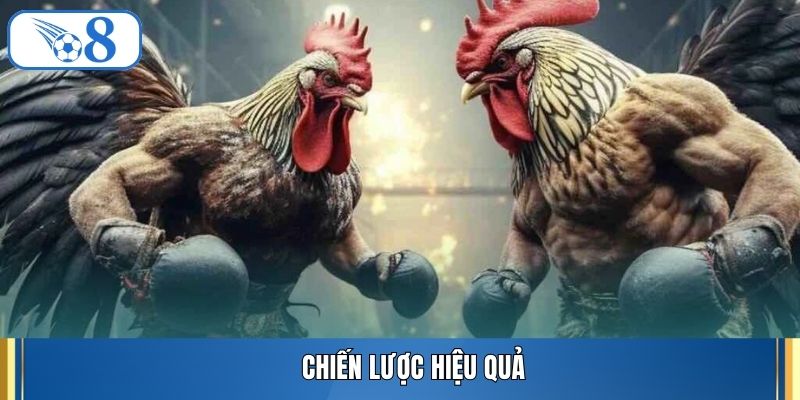 Chiến lược hiệu quả
