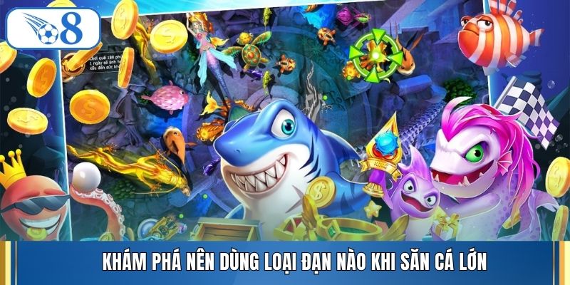 Khám phá nên dùng loại đạn nào khi săn cá lớn