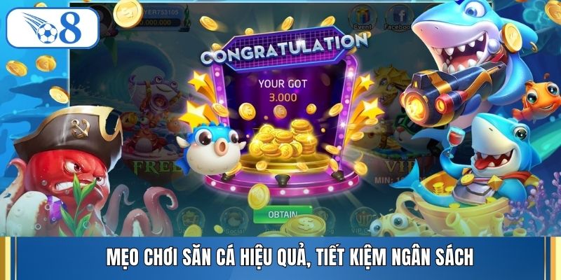 Mẹo chơi săn cá hiệu quả, tiết kiệm ngân sách