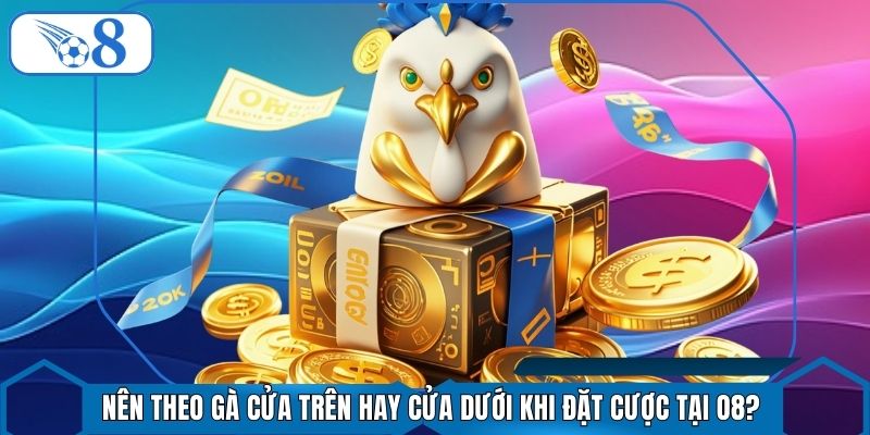 Nên Theo Gà Cửa Trên Hay Cửa Dưới Khi Đặt Cược Tại O8?
