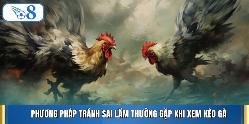 Phương pháp tránh sai lầm thường gặp khi xem kèo gà