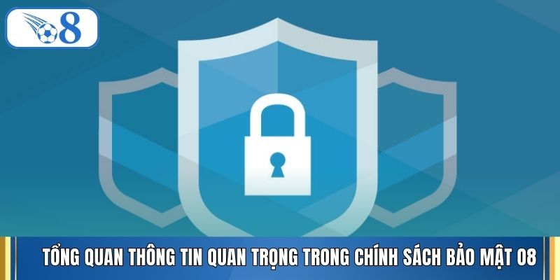 Tổng quan thông tin quan trọng trong chính sách bảo mật O8