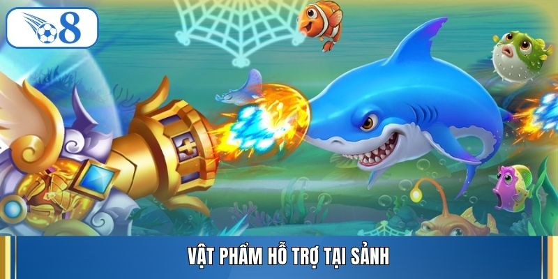 Vật phẩm hỗ trợ tại sảnh