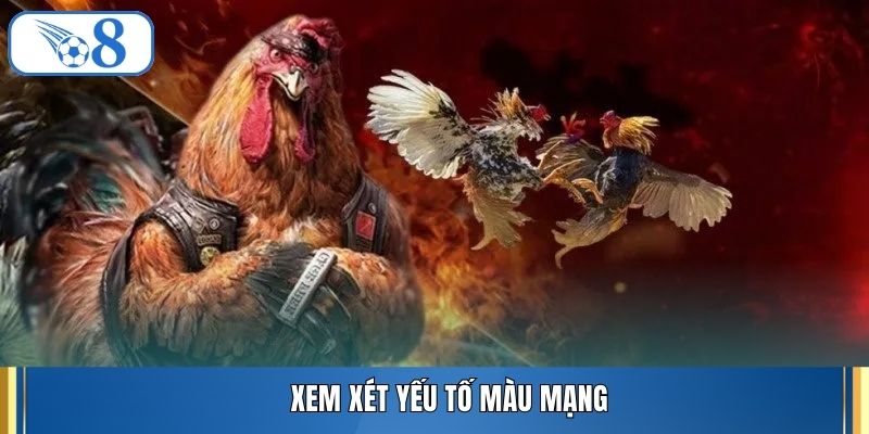 Xem xét yếu tố màu mạng