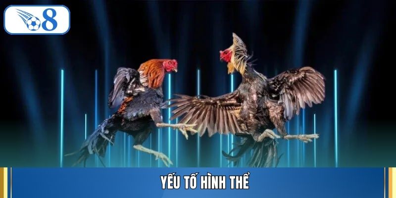 Yếu tố hình thể