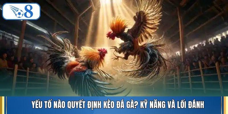 Yếu tố nào quyết định kèo đá gà? Kỹ năng và lối đánh